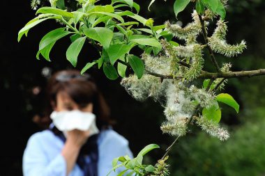 Allergie stagionali
